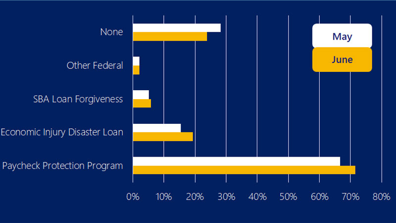 Bar chart showing the majority of small businesses received financial assistance. See image description for more information.